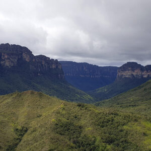 Exótico da Bahia